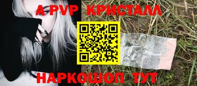 ешки Бердск