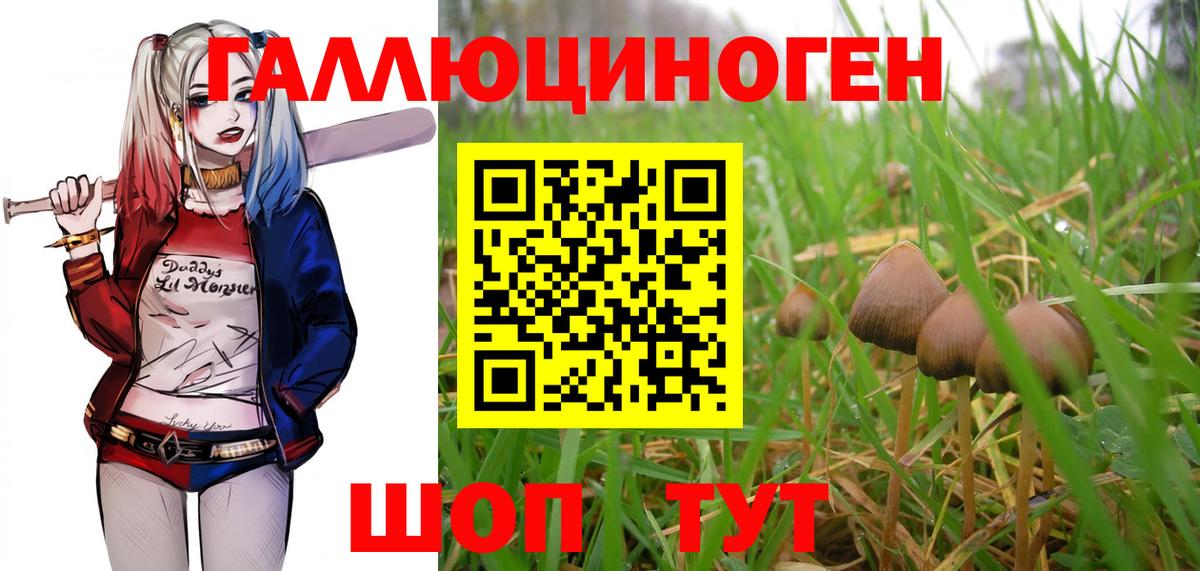 Галлюциногенные грибы Magic Shrooms  Псилоцибиновые грибы GOLDEN TEACHER  Вход с VPN  Борзя 