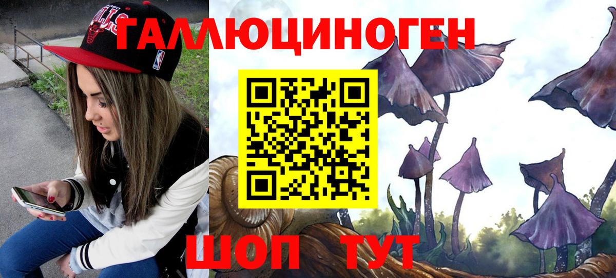 Псилоцибиновые грибы прущие грибы Борзя